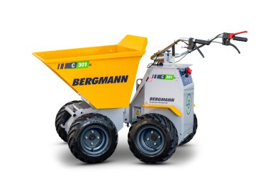 Bergmann C301 M elektrischer Raddumper